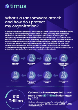 infographic 4
