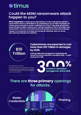 infographic3